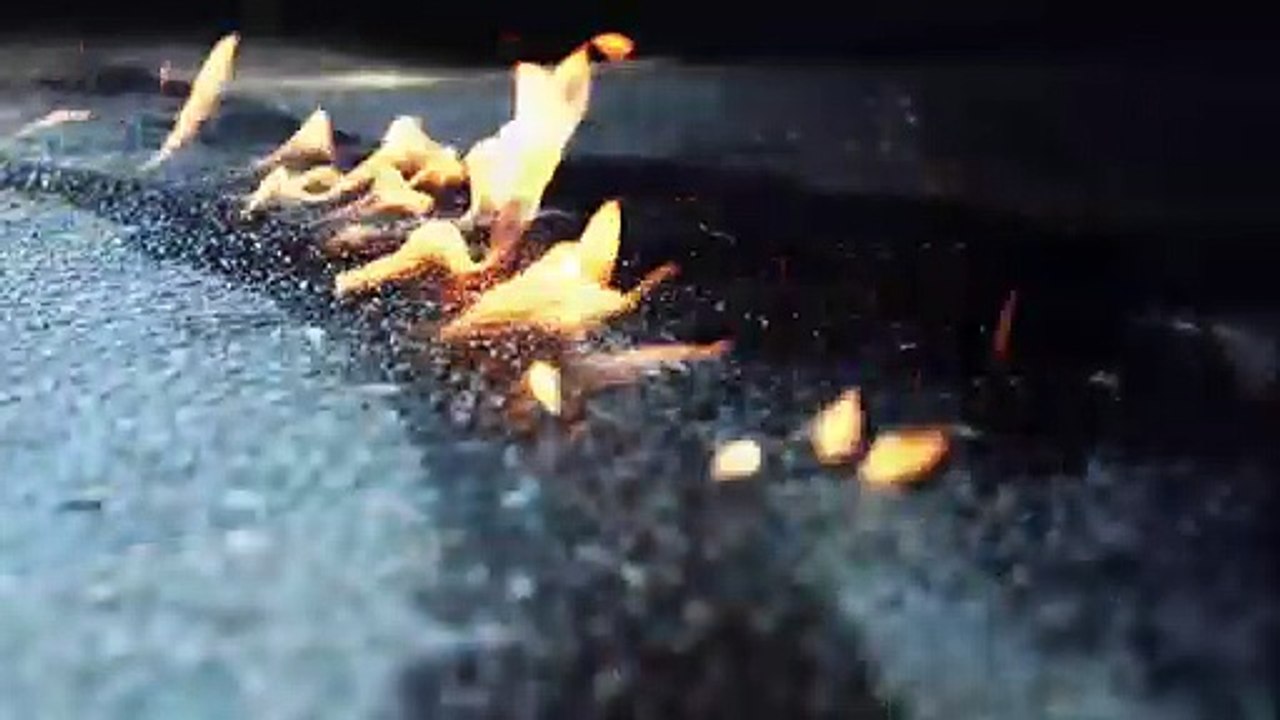Trailer - Pax