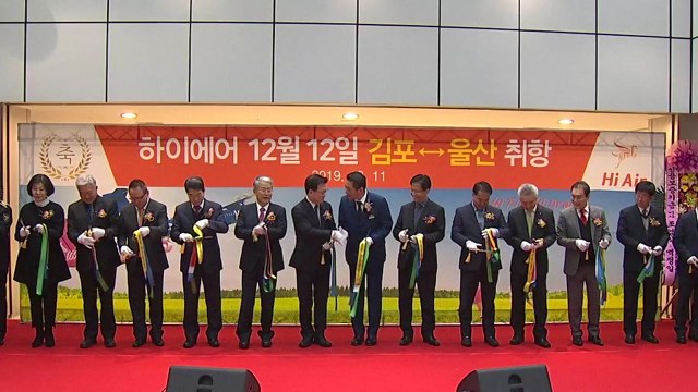 [기업] 하이에어, 다음 달부터 울산~김포 정기 운항 / YTN