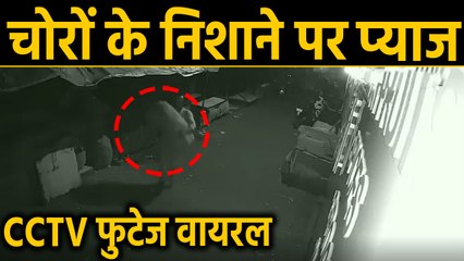 Mumbai में दुकान से 20 Thousand की प्याज उड़ा ले गए बदमाश, Video | वनइंडिया हिंदी
