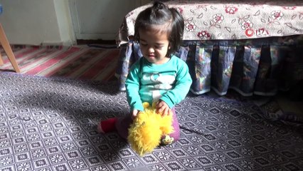 Cücelik teşhisi konulan Küçük Ela, boy uzatma ameliyatı için yardım bekliyor