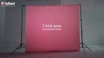 Sandwich - 2 Trick Pony - (Club Sandwich Remix)