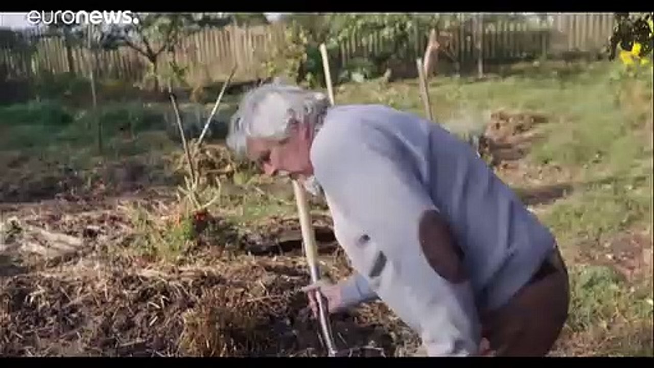 'Vergiftete Erde': Umgraben ist schlecht für die Böden