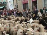 Fête de la Transhumance dans le Diois - Drôme