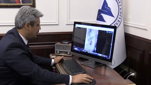 AA'nın Yılın Fotoğrafları oylaması