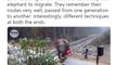 Elephant lifts level crossing gate to cross railway tracks | Oneindia Malayalam