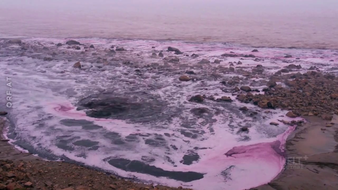 Buntes Gift - Umweltkiller Kleidung