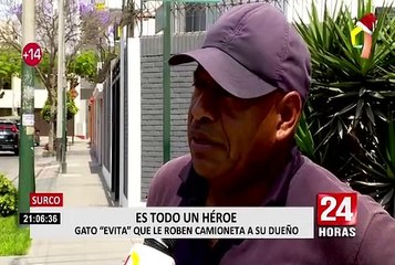 Surco: gato evita que le roben camioneta a su dueño