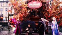 Frozen 2 Il Segreto di Arendelle film - Il Naviglio Grande si riveste di magia