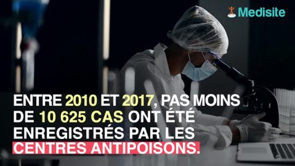 Champignons : gare aux intoxications mortelles !