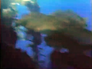 JAWS: The Revenge Trailer HQ