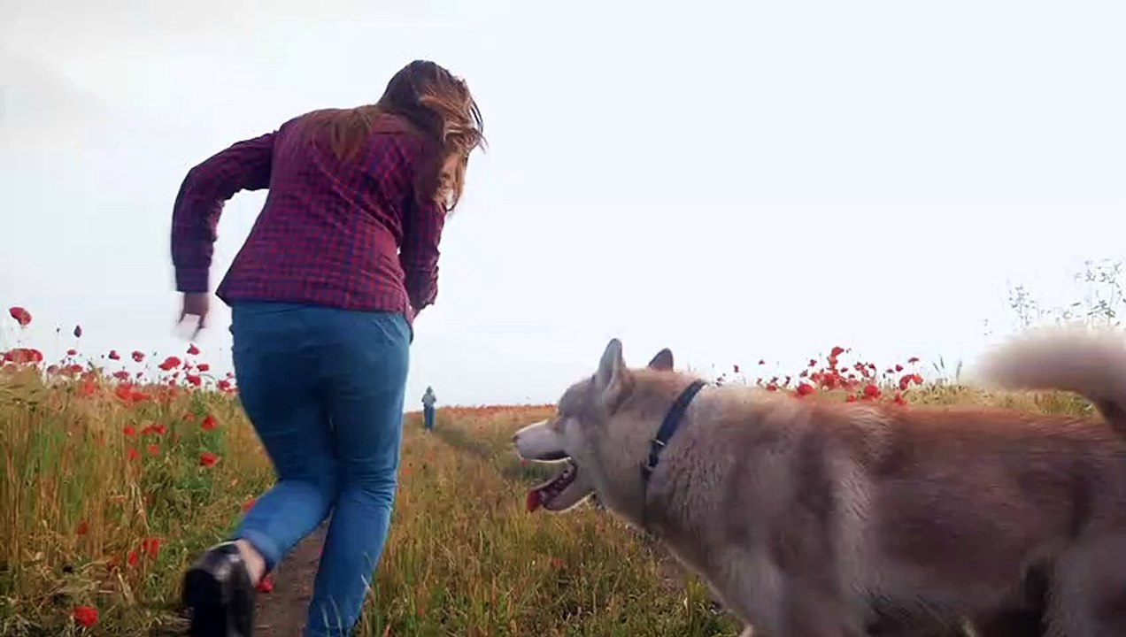 The Biggest Reason Americans Have Considered Giving a Pet Away