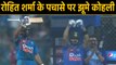 India vs West Indies, 3rd T20I : Virat Kohli celebrates Rohit Sharma's Fifty | वनइंडिया हिंदी