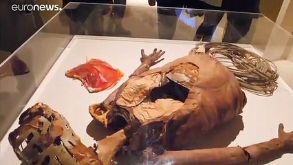 Механика монстров Рамбальди