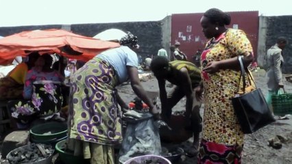 République démocratique du Congo : le charbon de bois mange la forêt