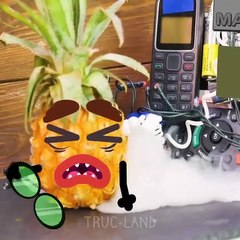 La vie privée des choses incroyables – TRUC-LAND