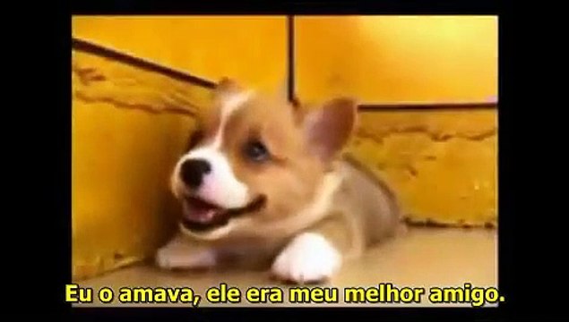 Just Diferents- Somos Apenas Diferentes [Legendado - Portugues - BR]