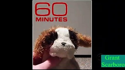 60 Minutes YTP Entry