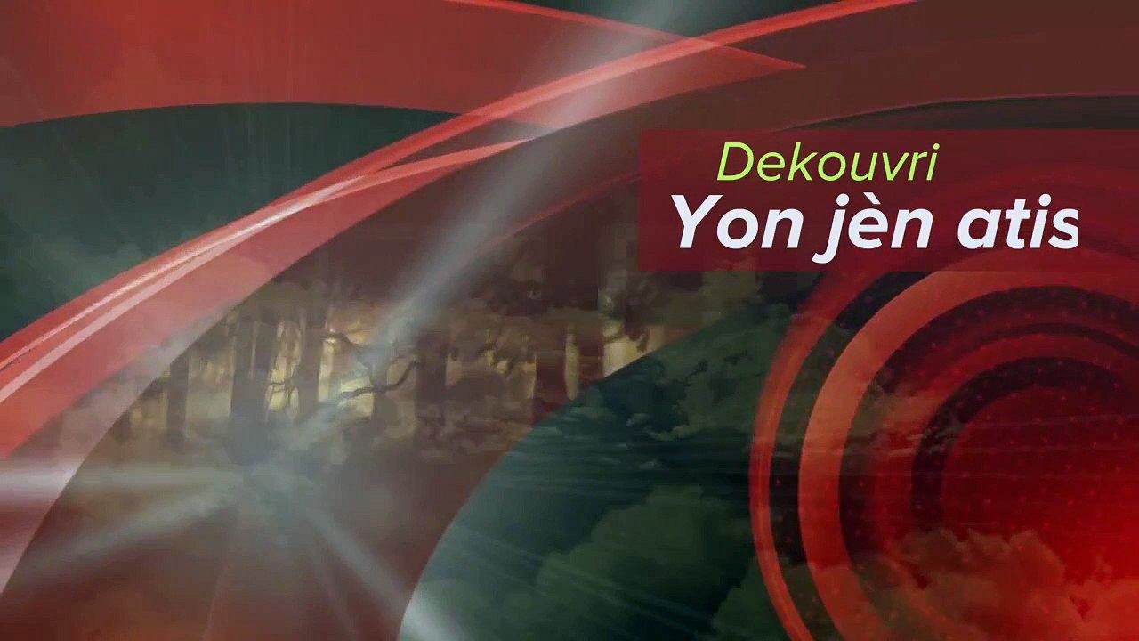DEKOUVRI-KAYATIS