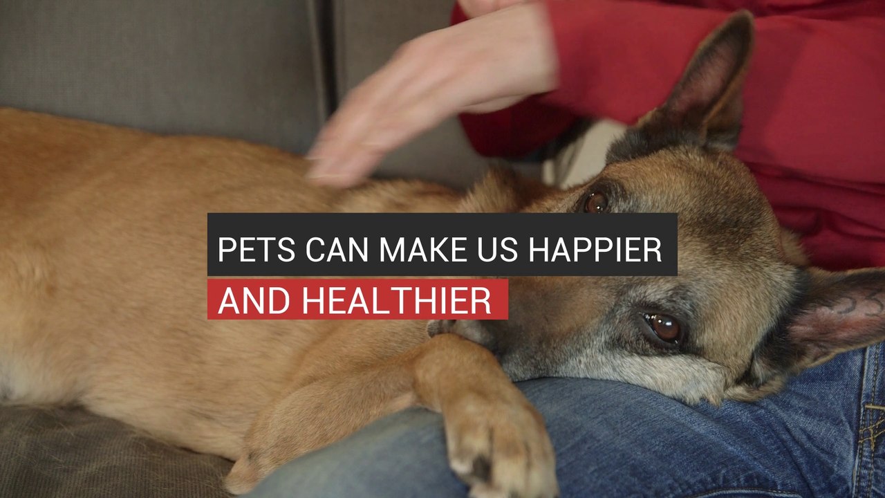 Pets Can Make You Happier And Healthier