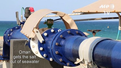 Counting the cost, as Gulf states thrive on desalinated water