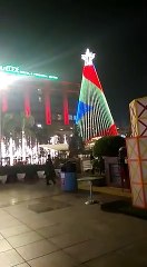 tree ligthing - this is really cool