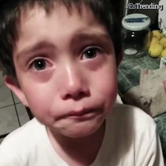 Niño llora desconsoladamente tras matar a una hormiga con su moto de juguete