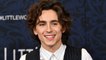 Timothée Chalamet Says It's 'Sweet' His 'Little Women' Costars Went to See 'Beautiful Boy' Together