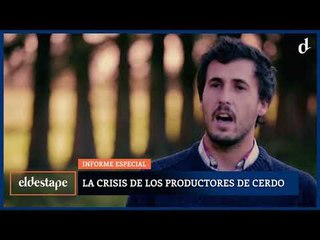 El Destape | #AnálisisED: la crisis de los productores de cerdo