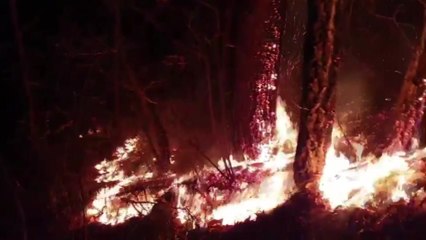 강원도 정선에서 산불...진화작업 재개 / YTN