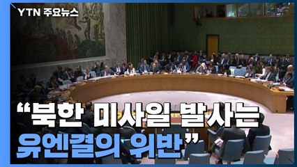 유엔 안보리...美 "유연한 협상 준비돼 있어" / YTN