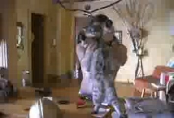 portrait / documentaire réalisé au Québec - montréal  -