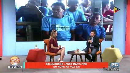 ON THE SPOT | Galunggong: poor man's fish no more na nga ba?