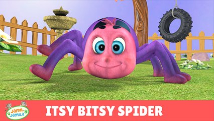 Itsy Bitsy Spider - Jamil and Jamila Songs for Children