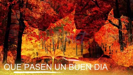 Conoce El Tiempo de Hoy Miércoles 11 de Diciembre de 2019