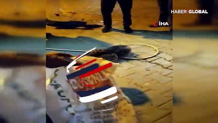 Yolunu şaşırıp şehre indi, görenler şaşkına döndü