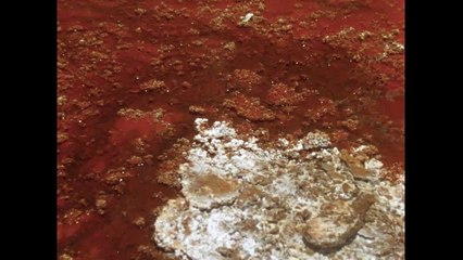 ALTIPLANO Trailer | TIFF 2018