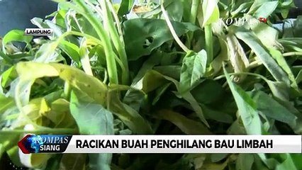 Keren! Pemuda Asal Lampung Ciptakan Racikan Buah Penghilang Bau Limbah