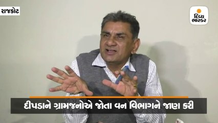 રાજકોટ નજીક દીપડો હોવાની વાત, કોઇએ દેરમાર્ગે દોર્યા છે, ટીમ તપાસ કરે છે-વન વિભાગ