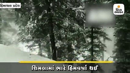 નરકંડામાં અંદાજે 3 ફૂટ સુધીની બરફવર્ષા,કુલુ-મનાલીમાં સહેલાણીઓ ઉમટ્યા