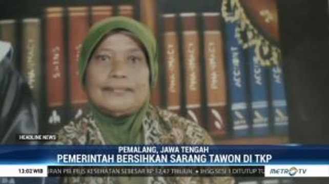 Seorang Nenek di Pemalang Tewas Disengat Tawon Vespa