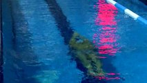 Avrupa ikincisi yüzücü Emre Sakçı'nın yeni hedefi olimpiyatlar