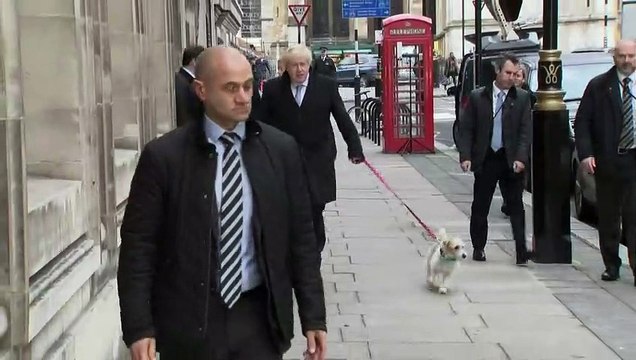 Boris Johnson casts his vote with his dog Dilyn