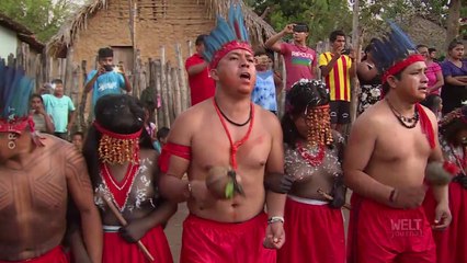 Brasilien – Die Wächter des Regenwalds