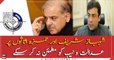 Shahbaz Sharif, Hamza 'fails to satisfy' NAB in assets beyond means case ...