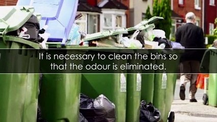Why is Cleaning the Wheelie Bin Important?