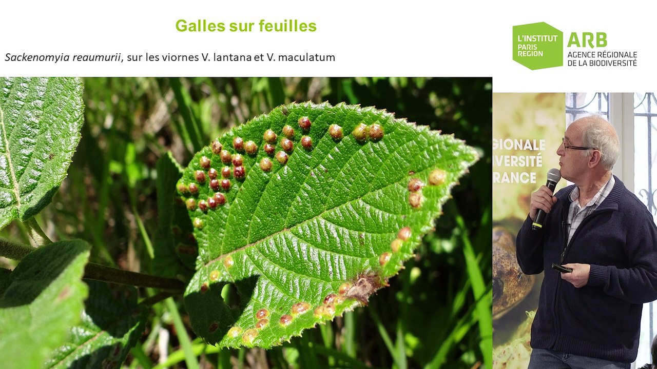 5 - Gilles Carcasses - Rencontres naturalistes 2019
