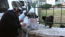 Hayvansever Nine Sokak Kedilerini Her Gün Pişmiş Tavukla Besliyor
