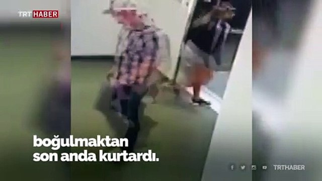 Tasması asansör kapısına sıkışan köpeği böyle kurtardı