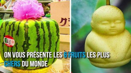 Voici les 6 fruits les plus chers du monde
