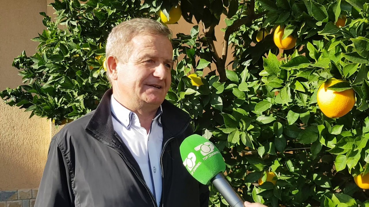 Stomatologu agronom, pasioni i Mark Bobnaj për të shartuar pemë